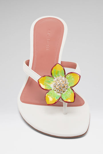 Vittoria 45 thong sandals for women